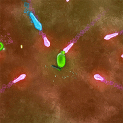 Disease Warrior gameplay preview